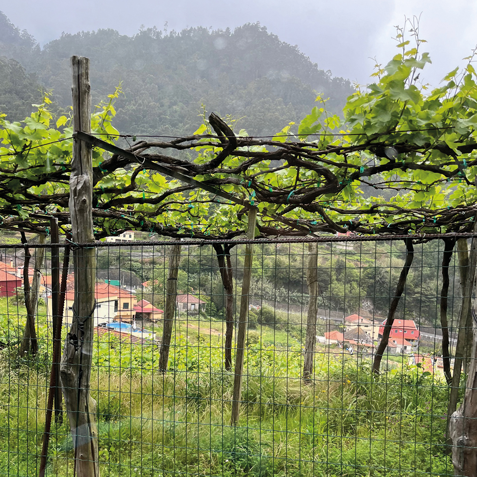 Sehenswürdigkeiten auf Madeira